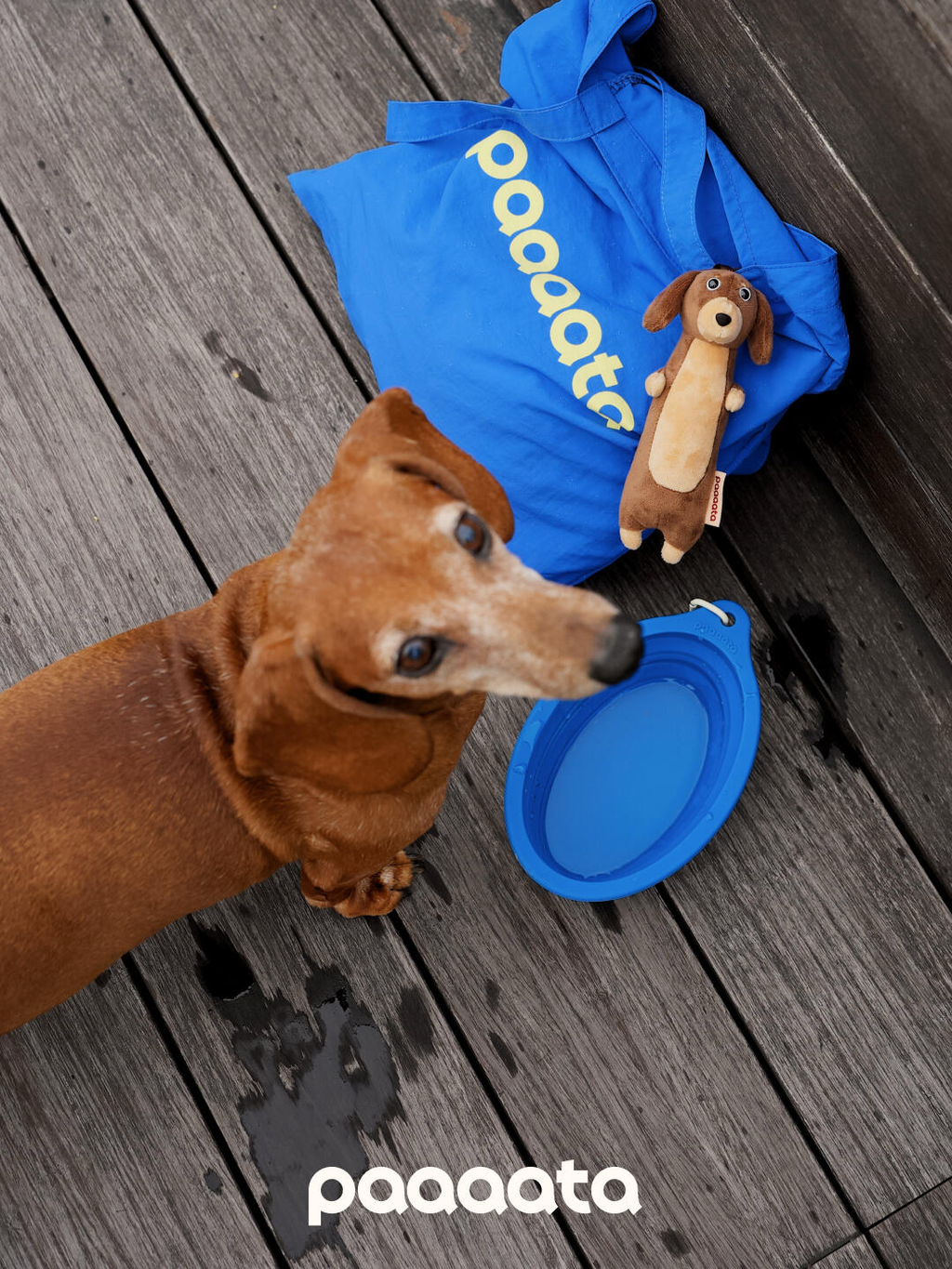 Collapsible Silicone Pet Bowl - VOF