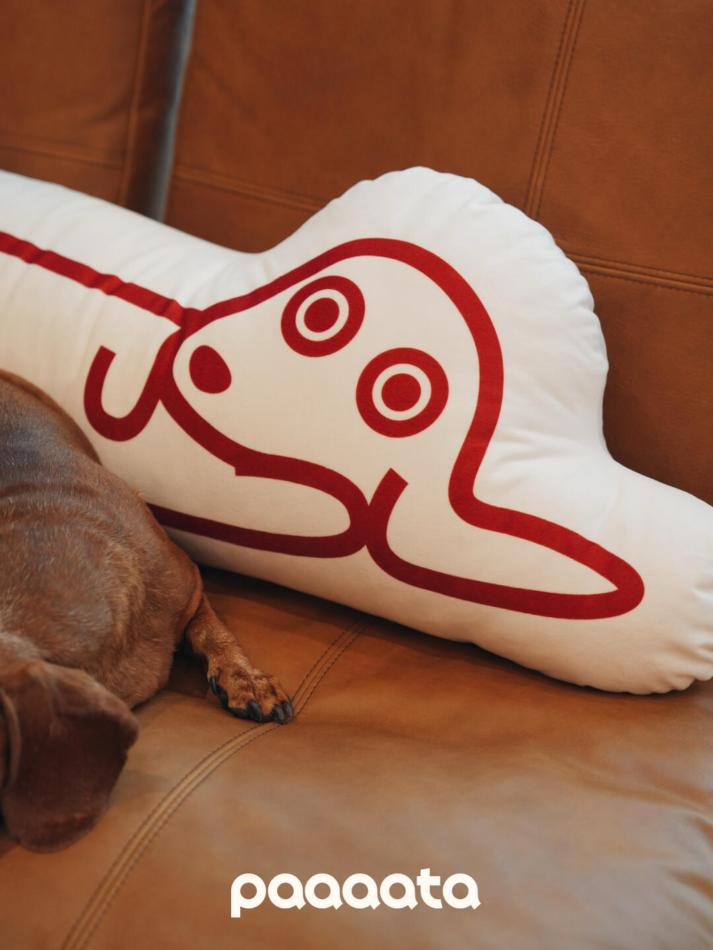 Dashshund Cushion