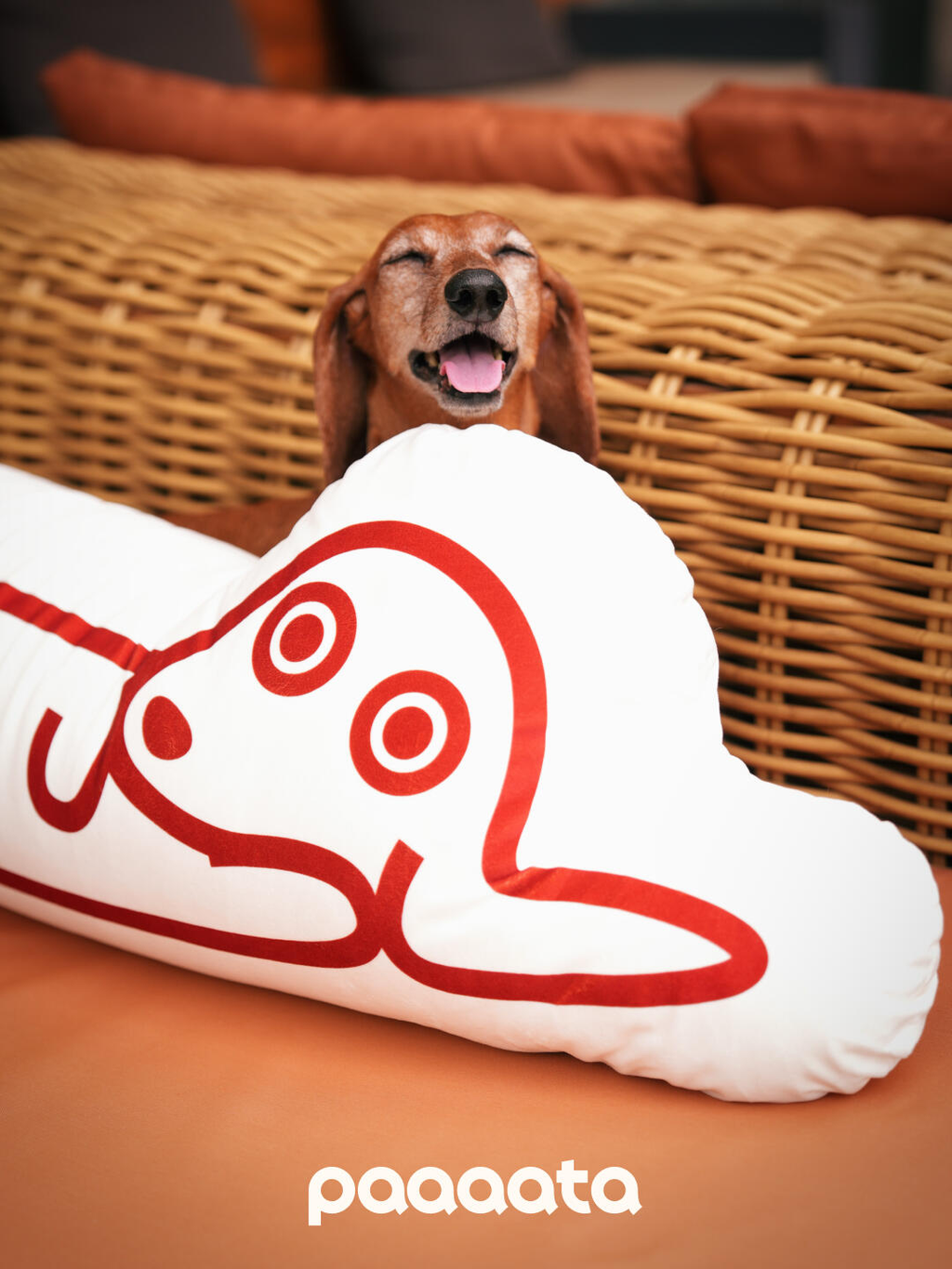 Dashshund Cushion