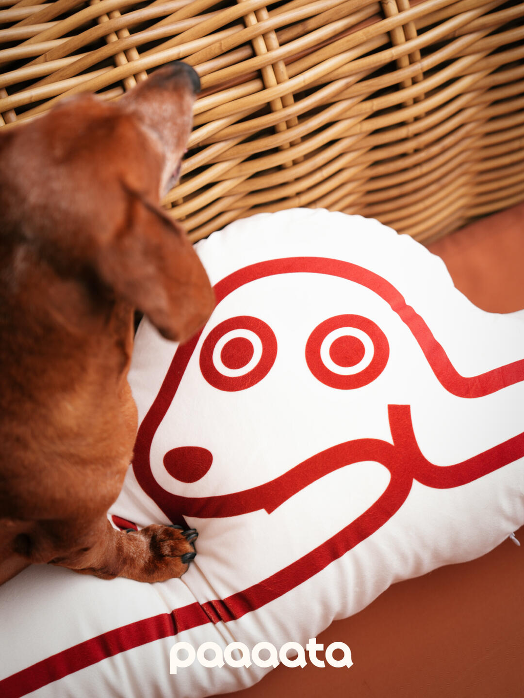 Dashshund Cushion