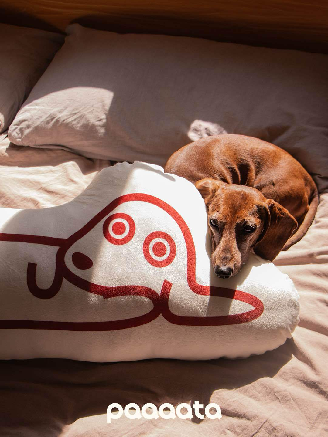 Dashshund Cushion