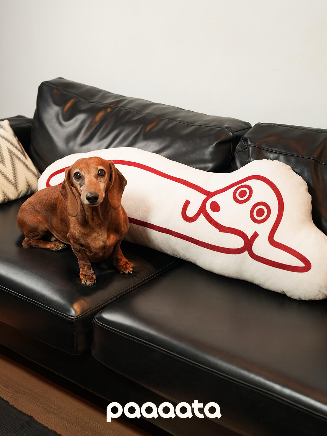 Dashshund Cushion