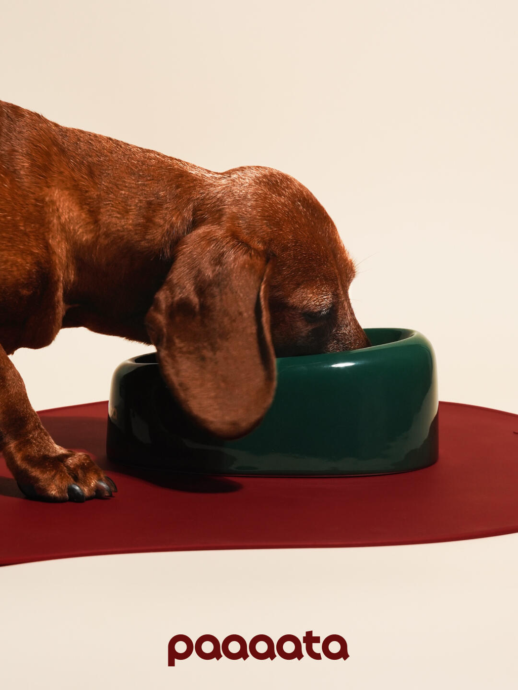 Signature Ceramic Long Eared Dog Bowl