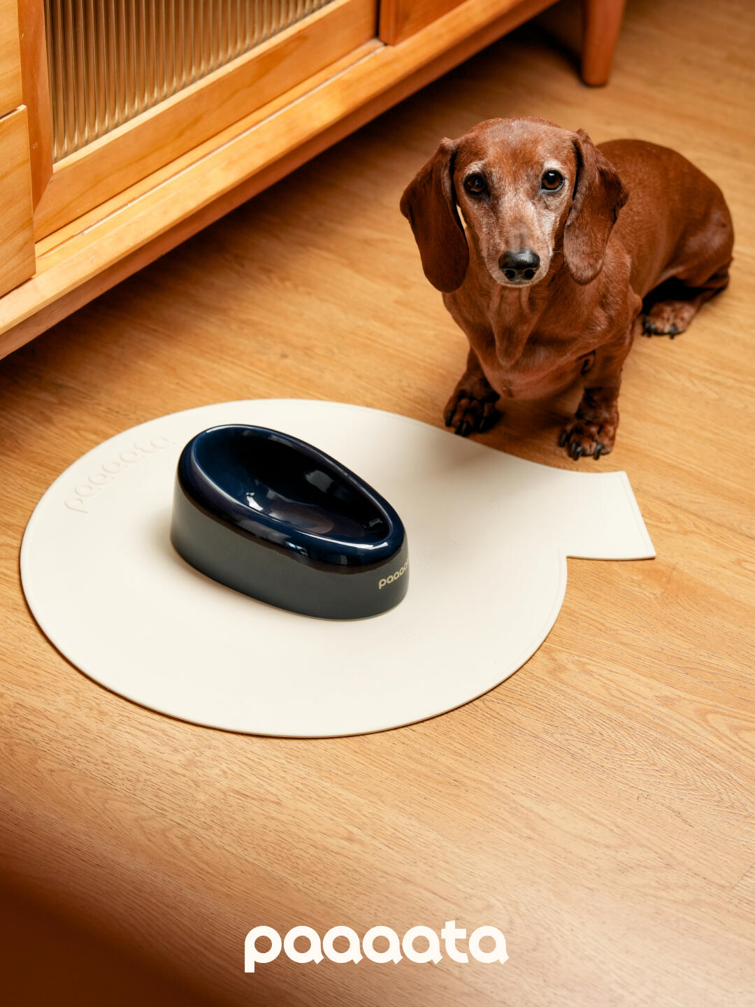Signature Ceramic Slanted Pet Bowl - VOF