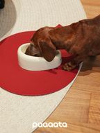 Signature Ceramic Slanted Pet Bowl - VOF