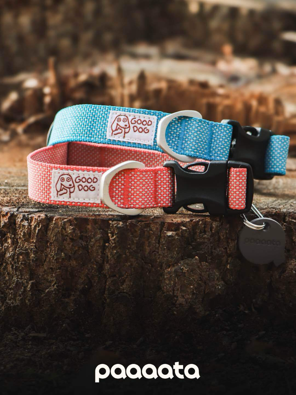 Lightweight Dog Collar