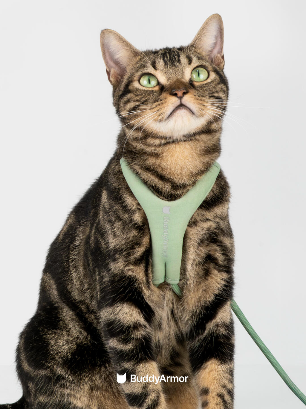 Escape-Proof Y-Shape Harness