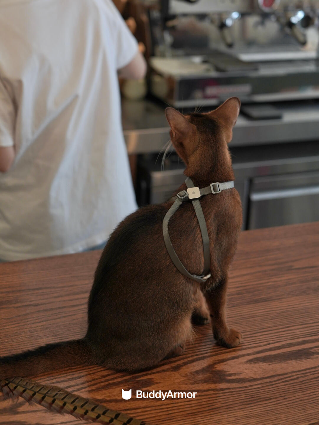 Escape-Proof Harness