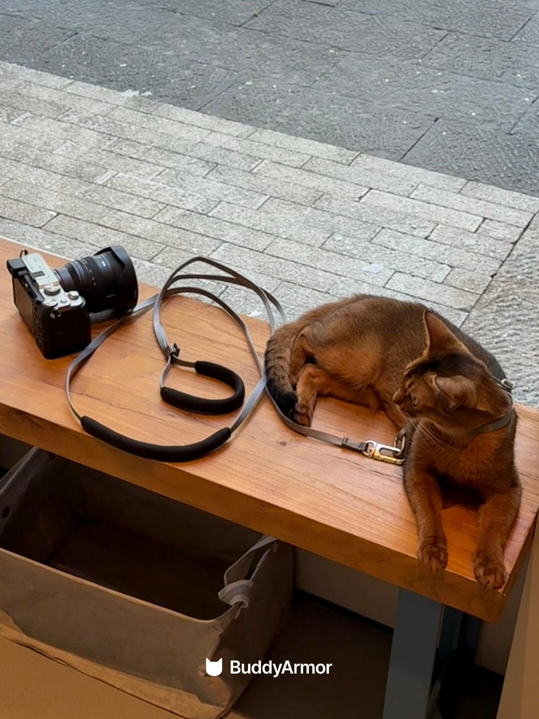 Escape-Proof Harness