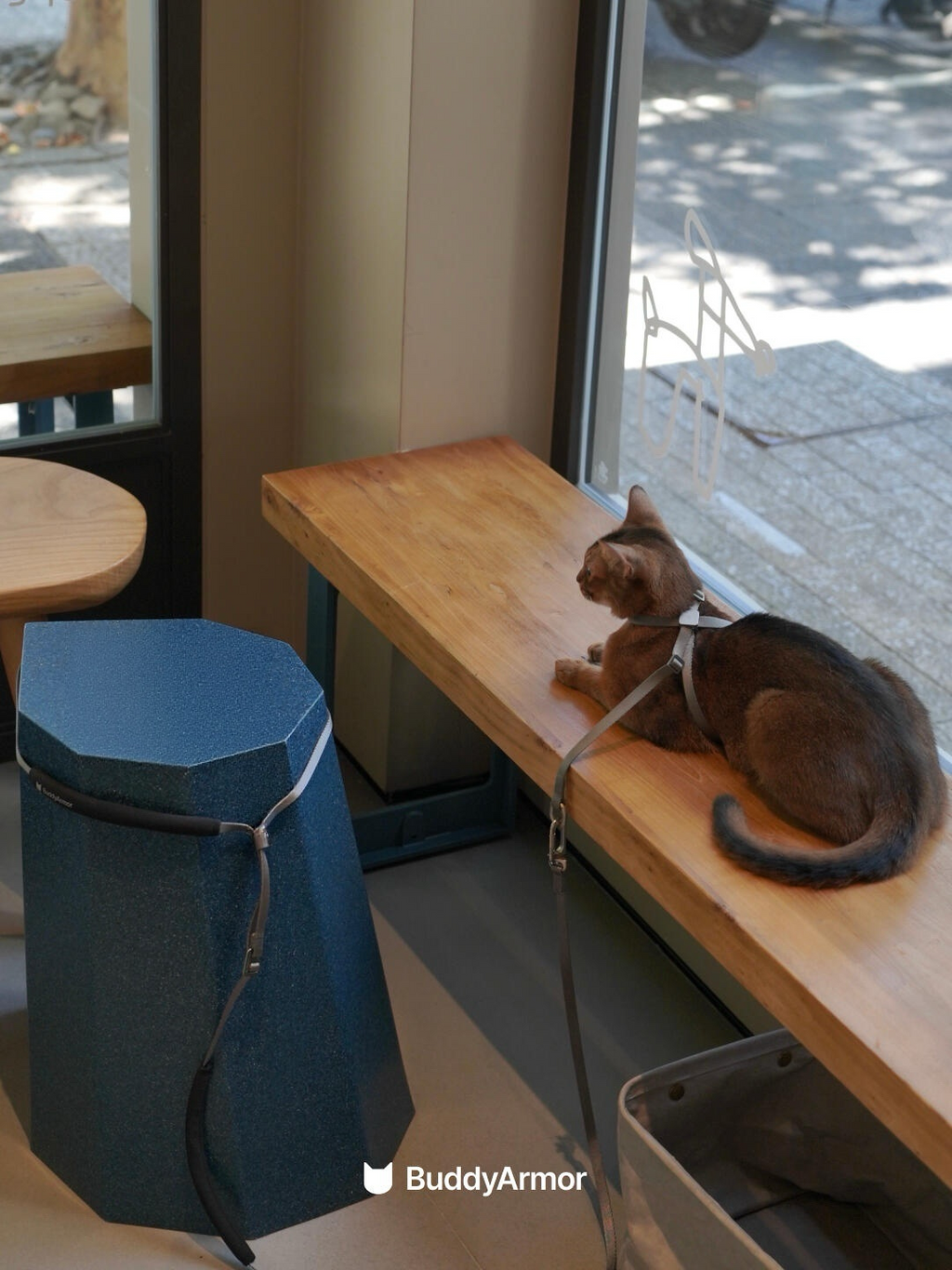 Escape-Proof Harness