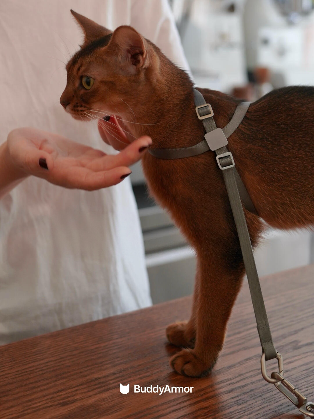 Escape-Proof Harness