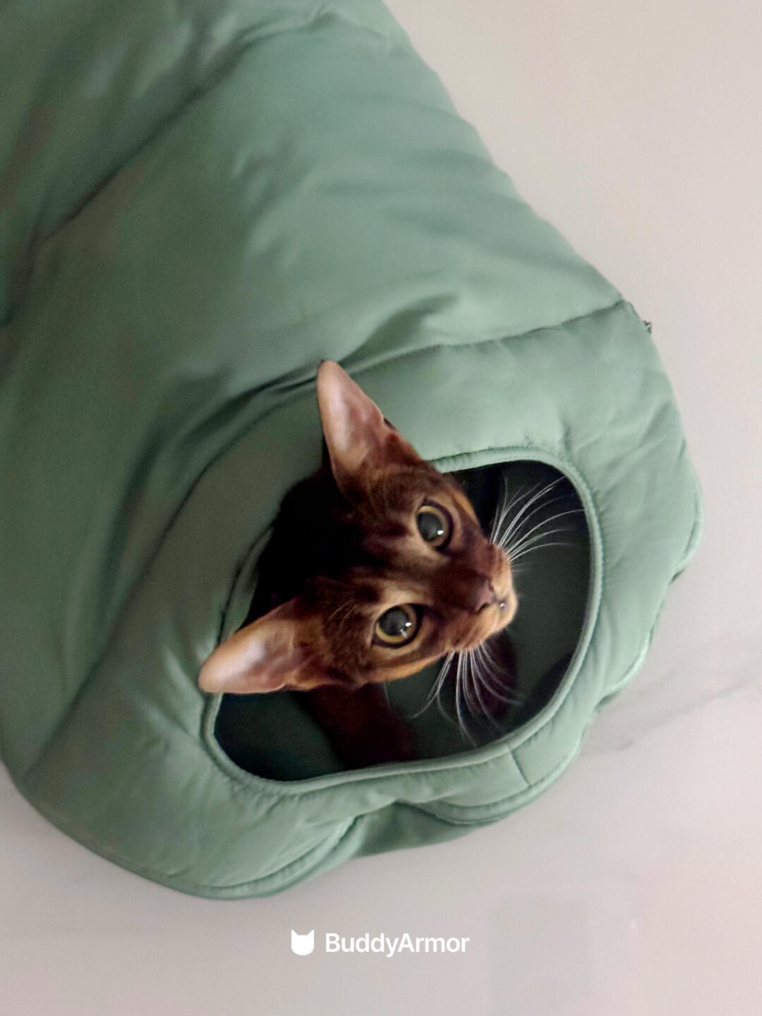 Cat Sleeping Bag
