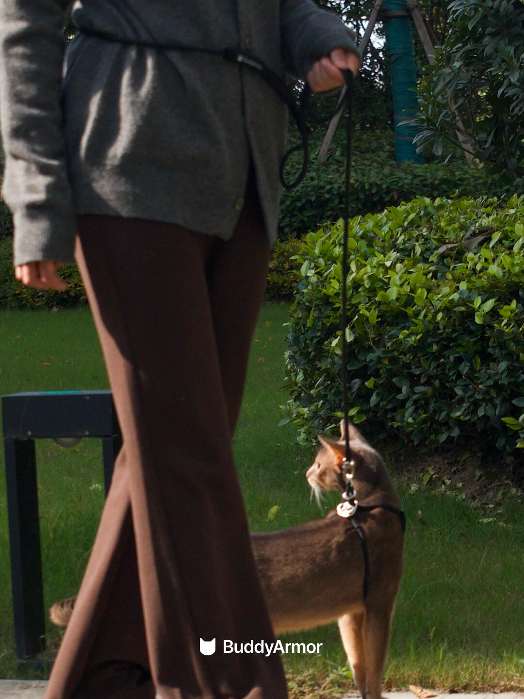 Escape-Proof Y-Shape Harness