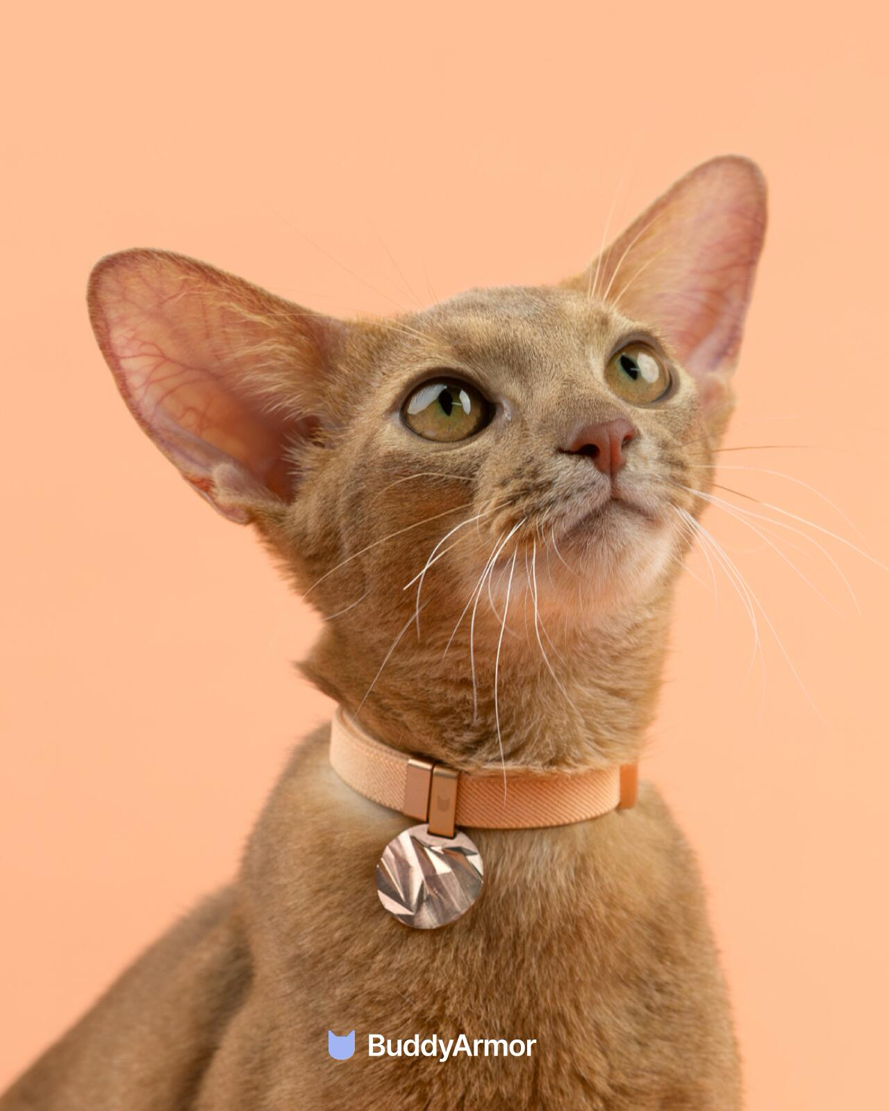 Safety Cat Collar Pro