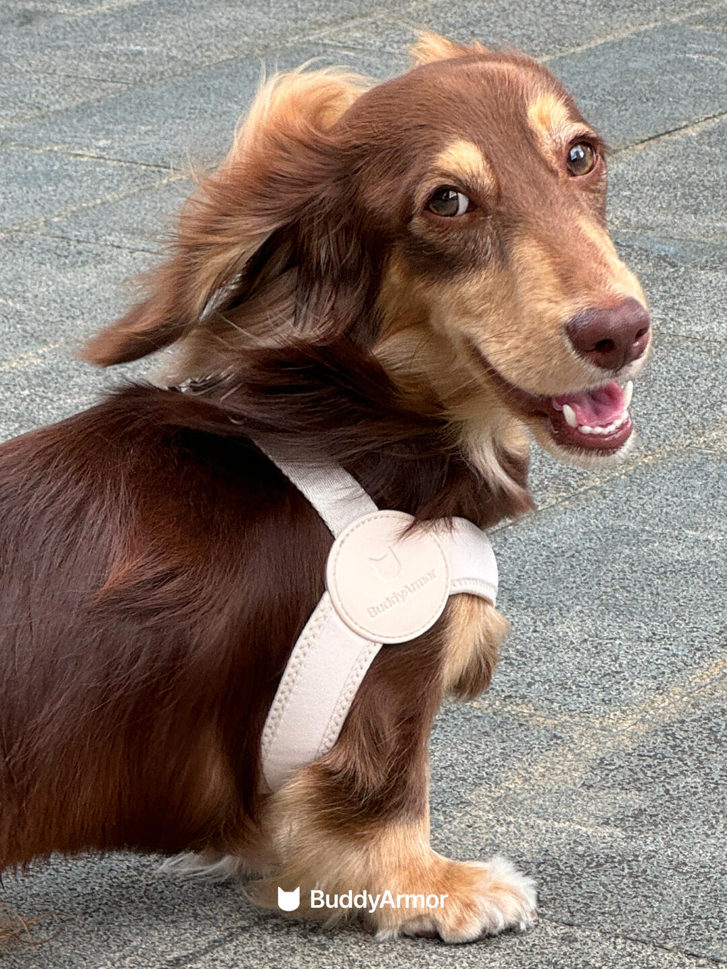 Ultra-Comfort Harness