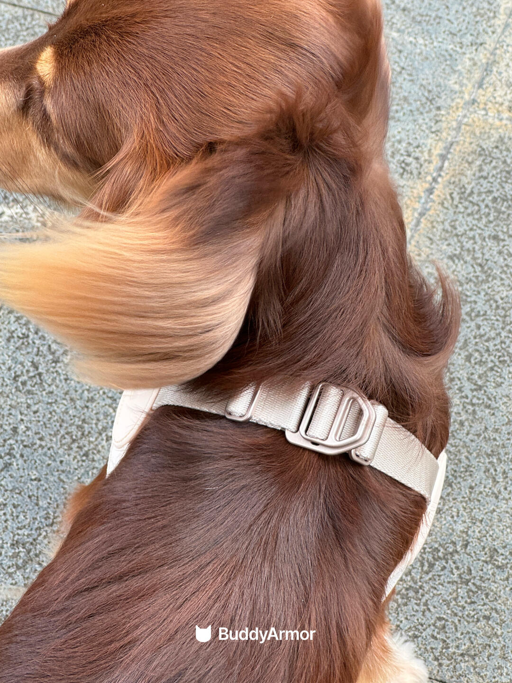 Ultra-Comfort Harness