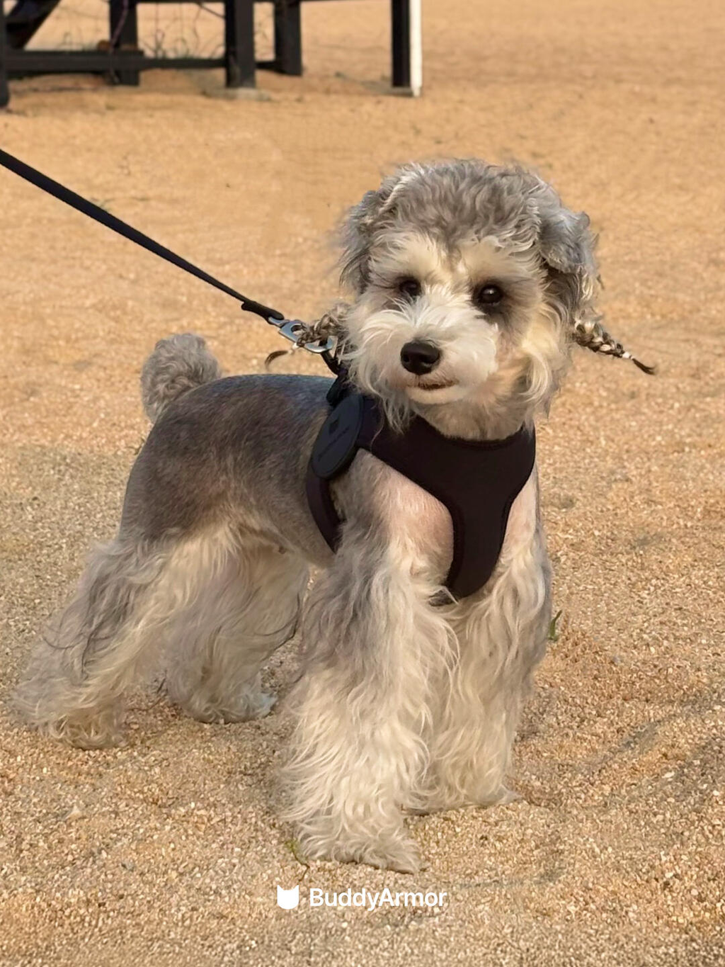 Ultra-Comfort Harness