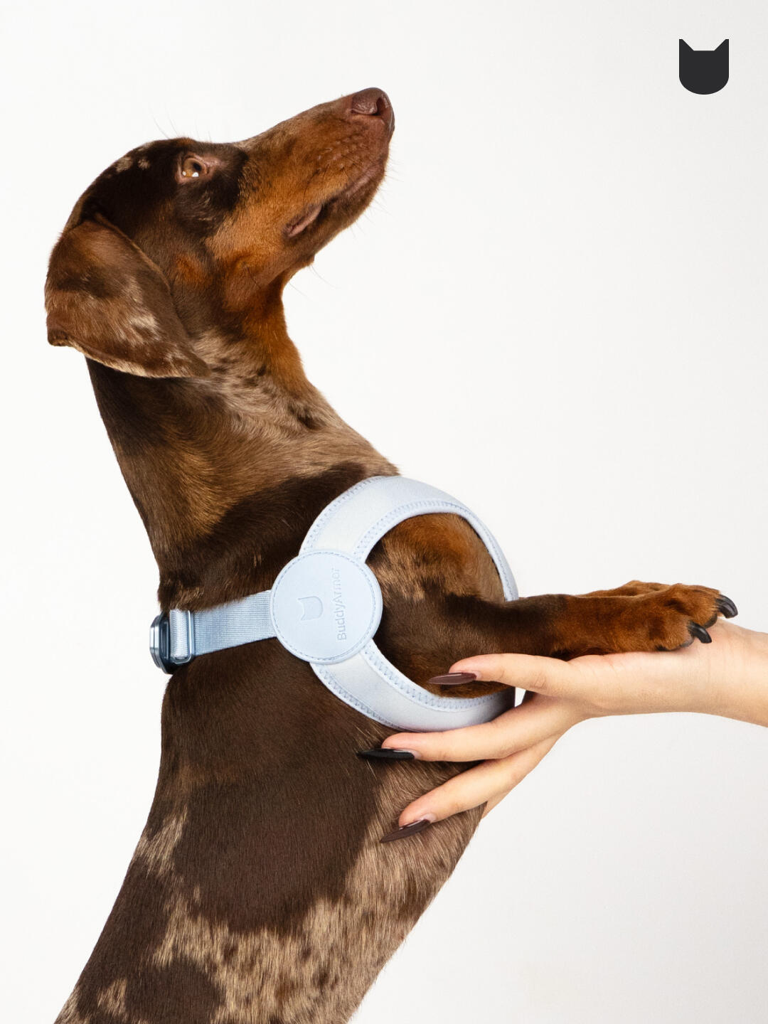 Ultra-Comfort Harness