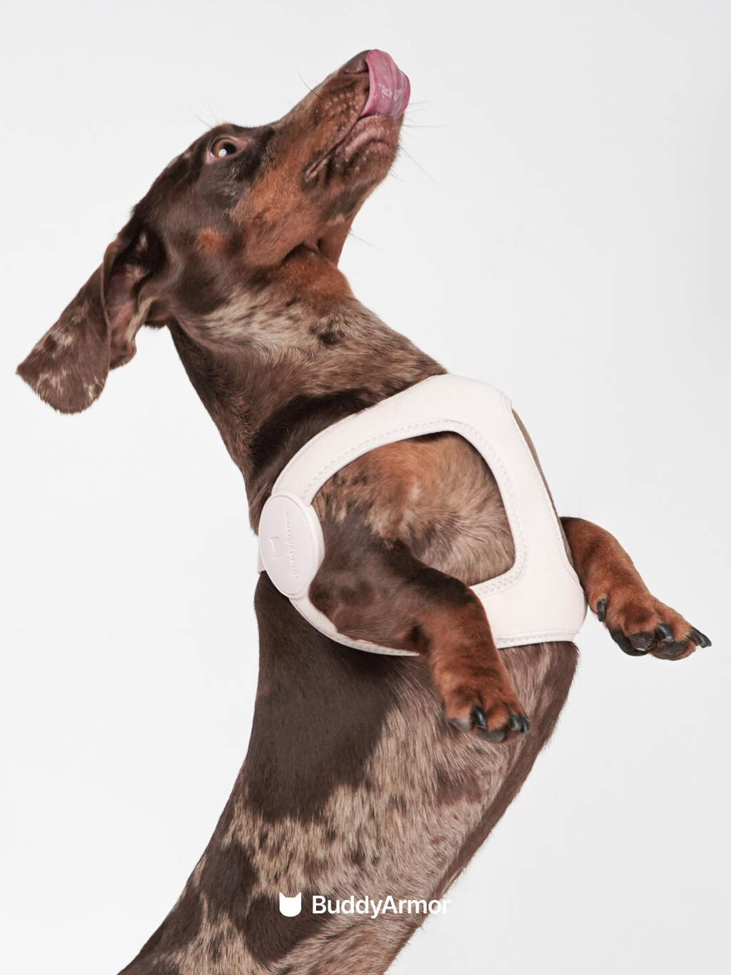 Ultra-Comfort Harness