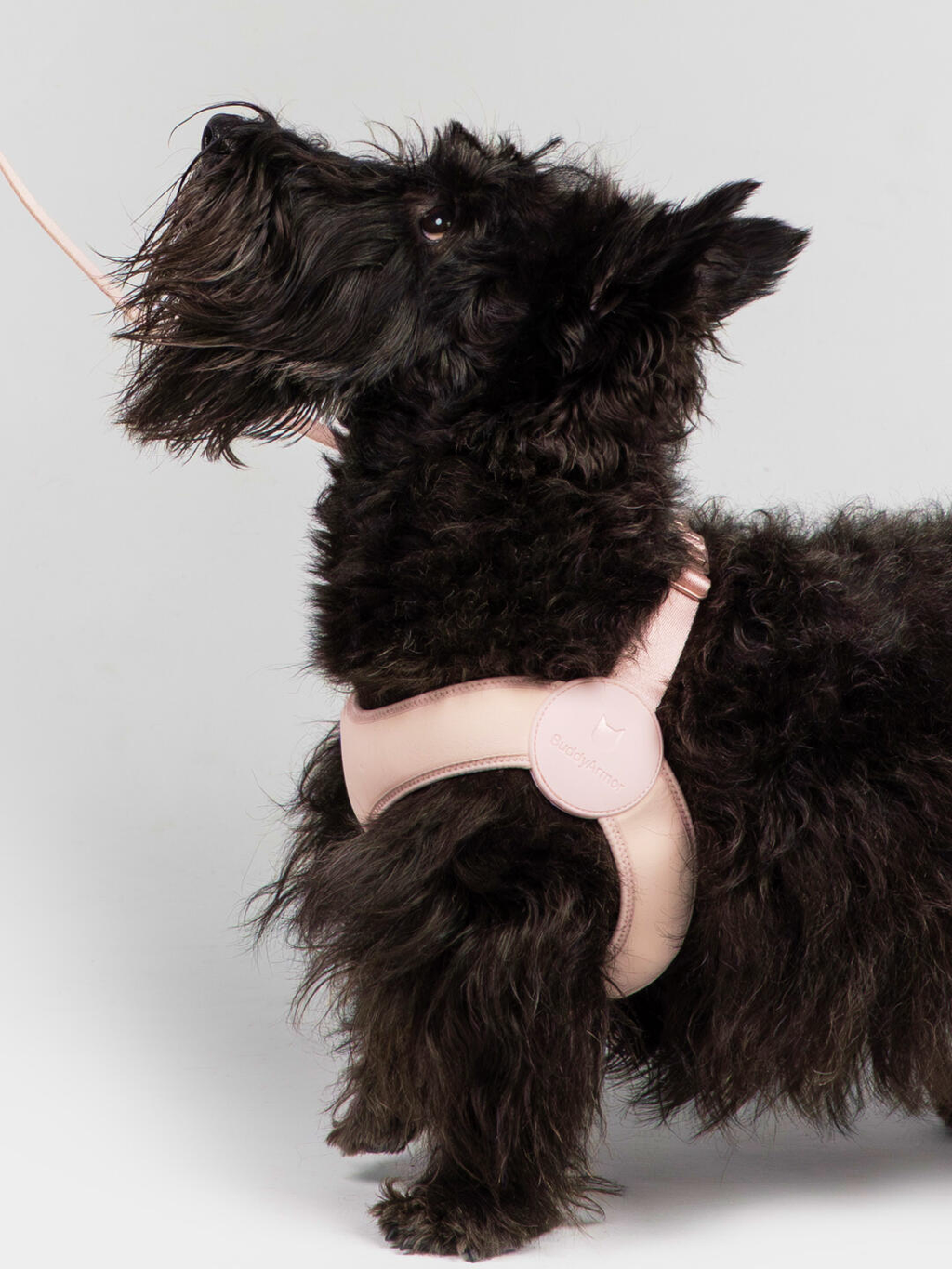 Ultra-Comfort Harness