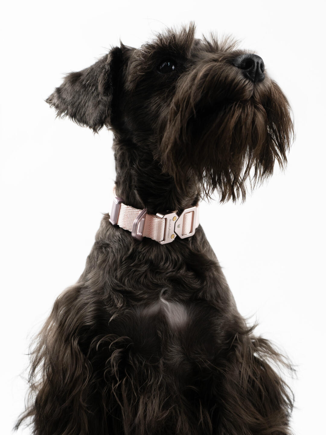 Light Alloy Dog Collar Pro