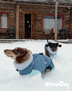 Dachshund Winter Jacket
