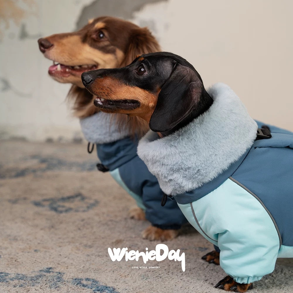 Dachshund Winter Jacket