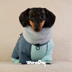 Dachshund Winter Jacket