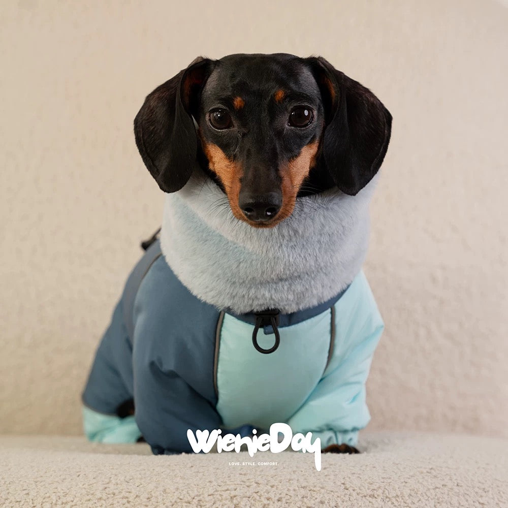 Dachshund Winter Jacket