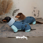 Dachshund Winter Jacket