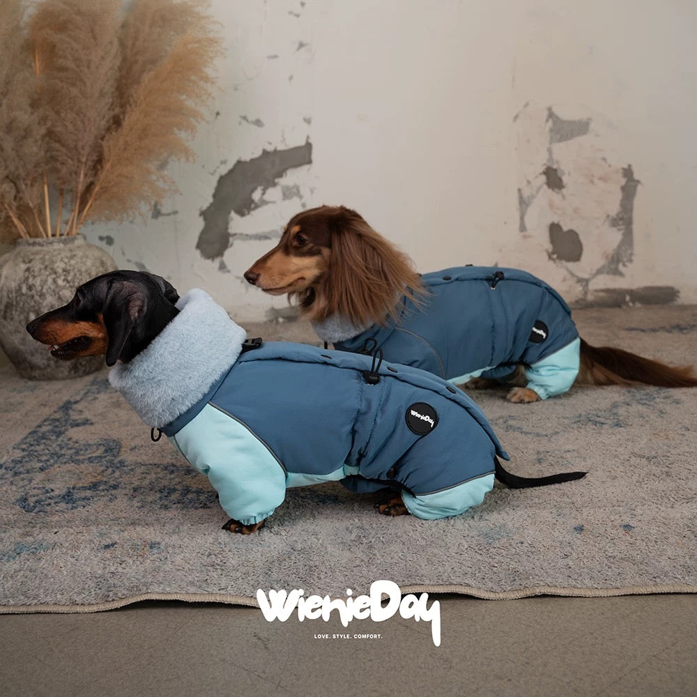 Dachshund Winter Jacket