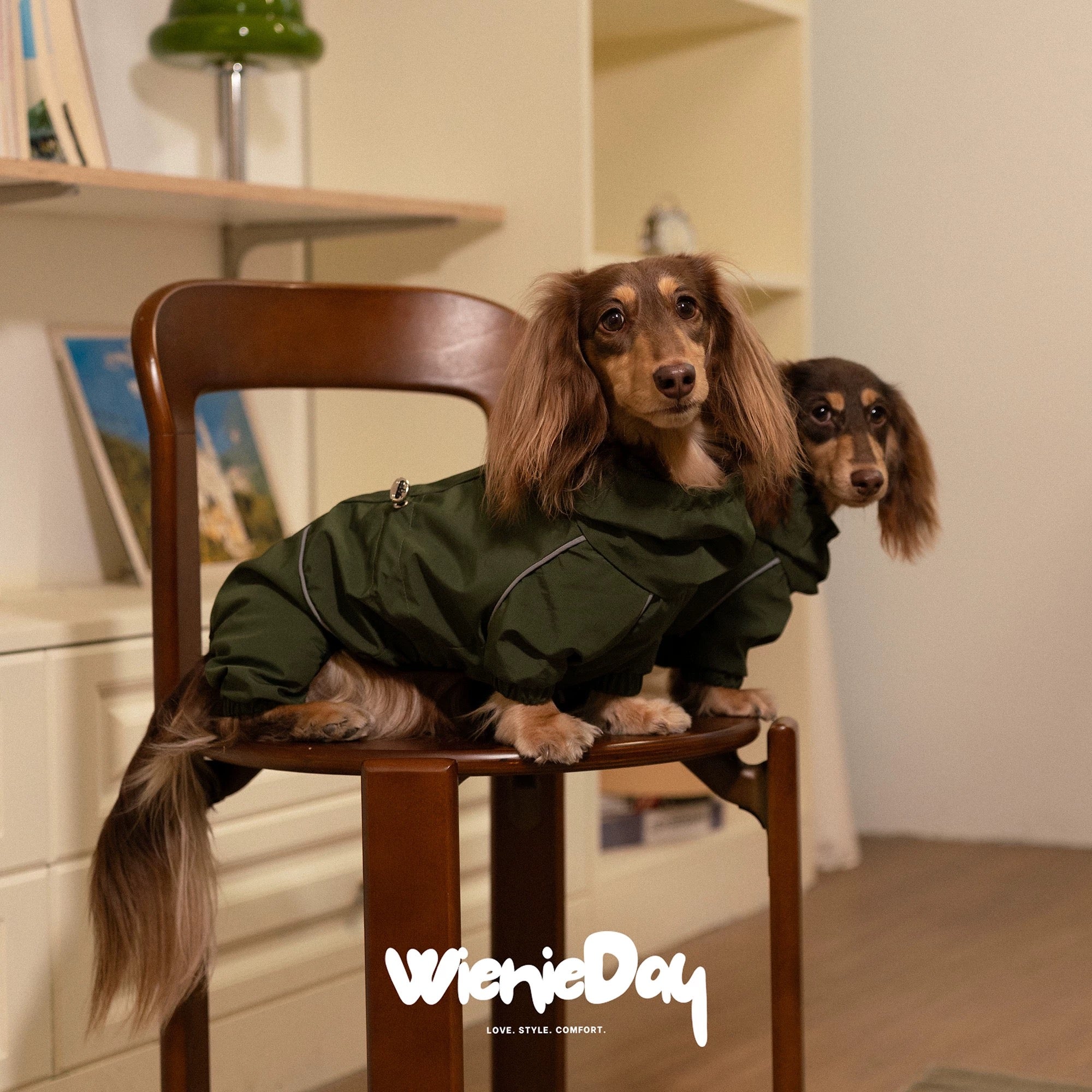 Waterproof Dachshund Rain Jacket