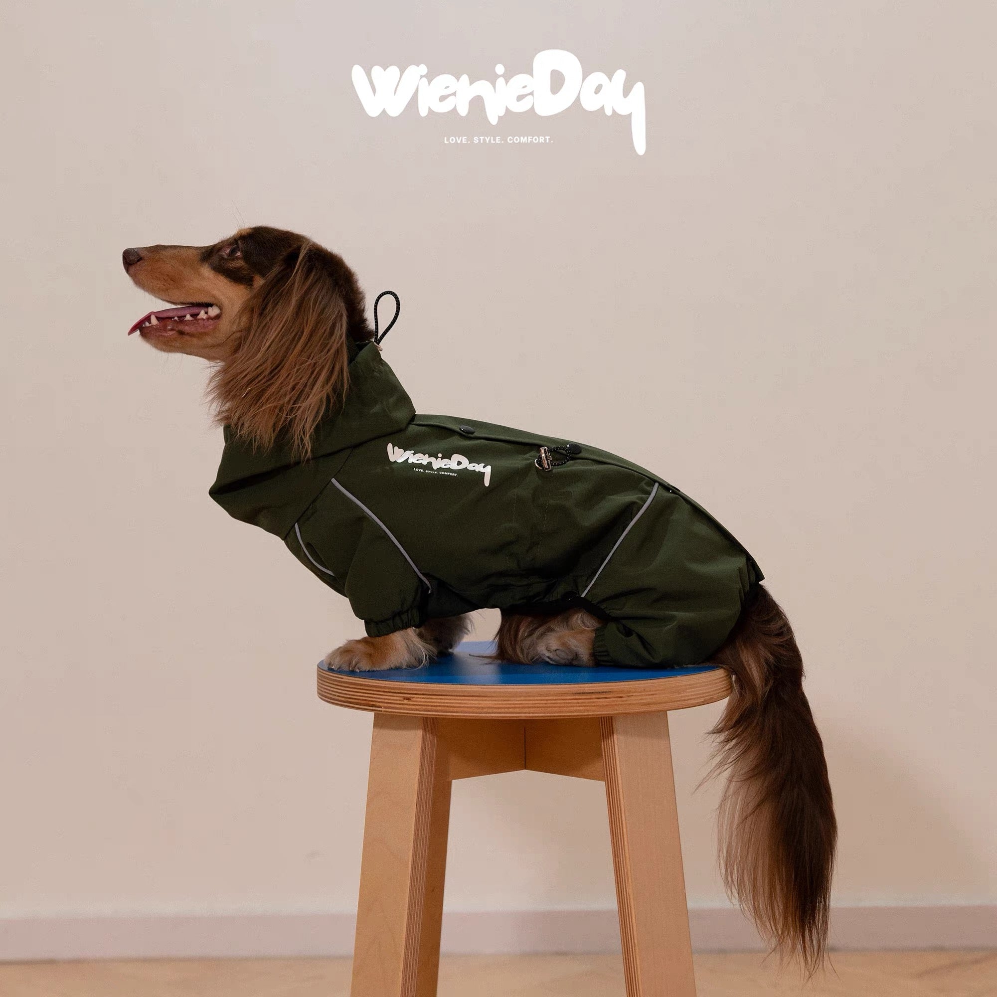 Waterproof Dachshund Rain Jacket