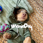 Waterproof Dachshund Rain Jacket