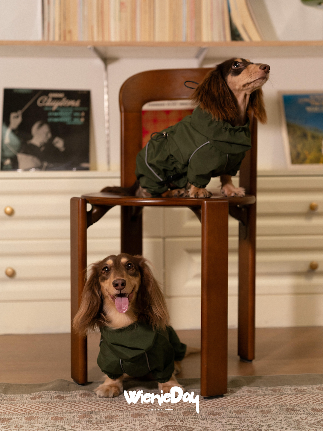 Waterproof Dachshund Rain Jacket