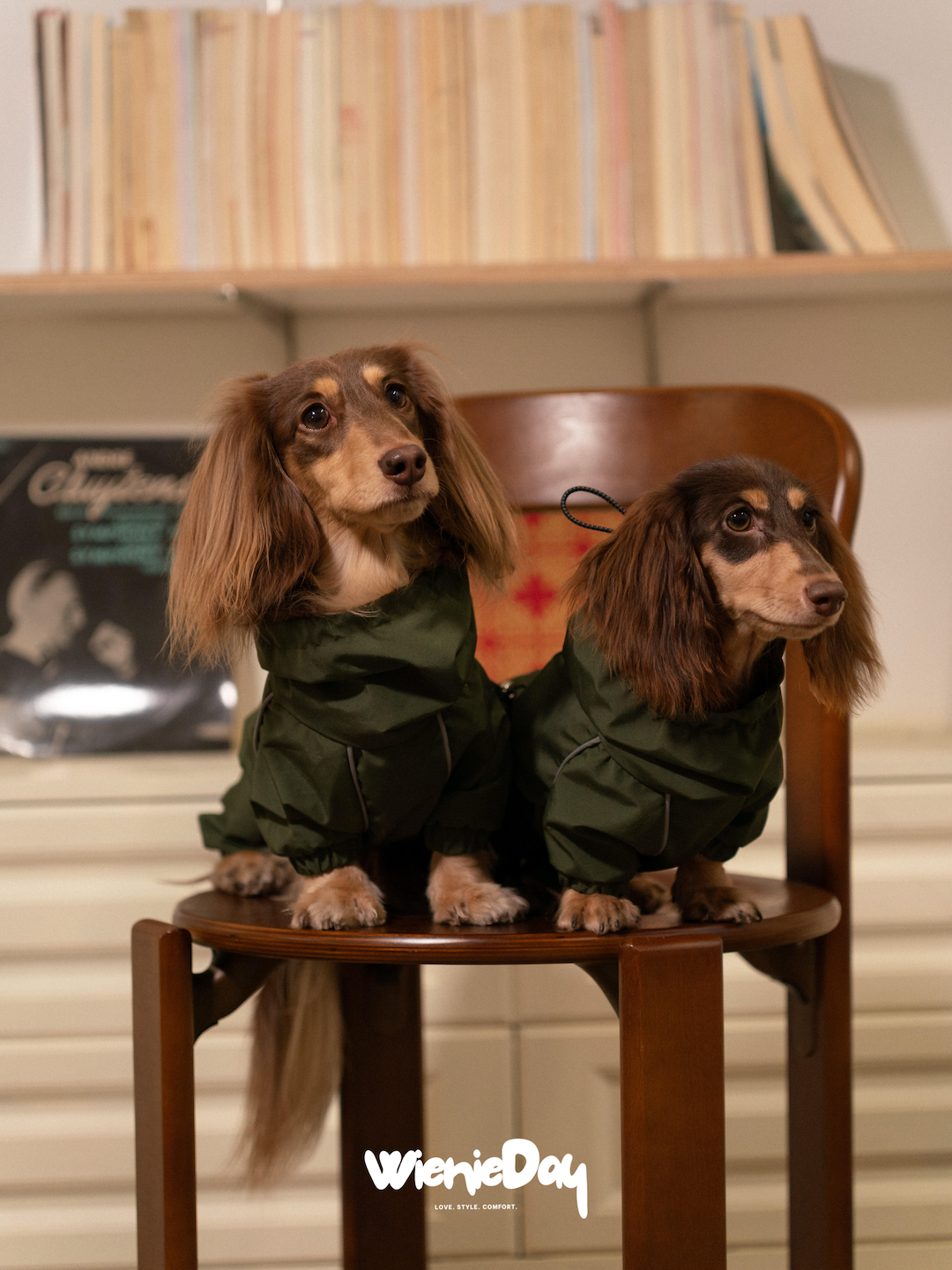 Waterproof Dachshund Rain Jacket
