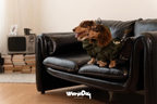 Waterproof Dachshund Rain Jacket