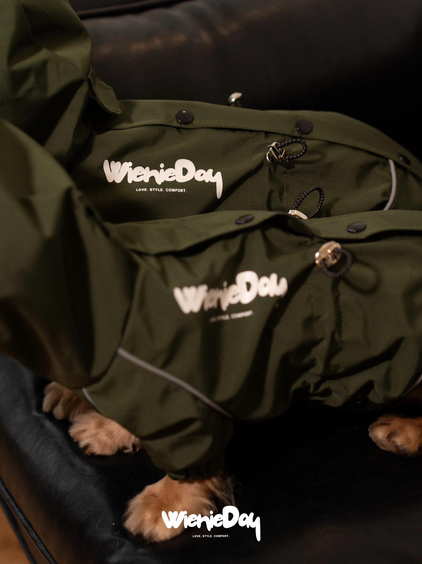 Waterproof Dachshund Rain Jacket