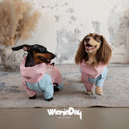 Waterproof Dachshund Raincoat Pink