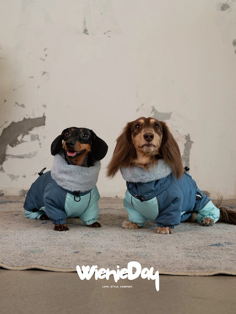 Dachshund Winter Jacket