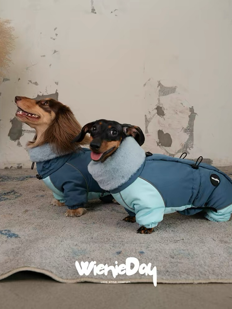 Dachshund Winter Jacket