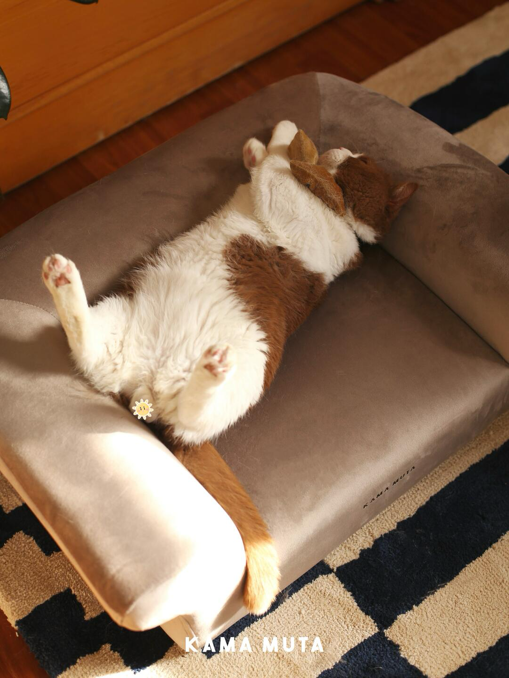 Luxury Orthopedic Pet Sofa Bed - VOF