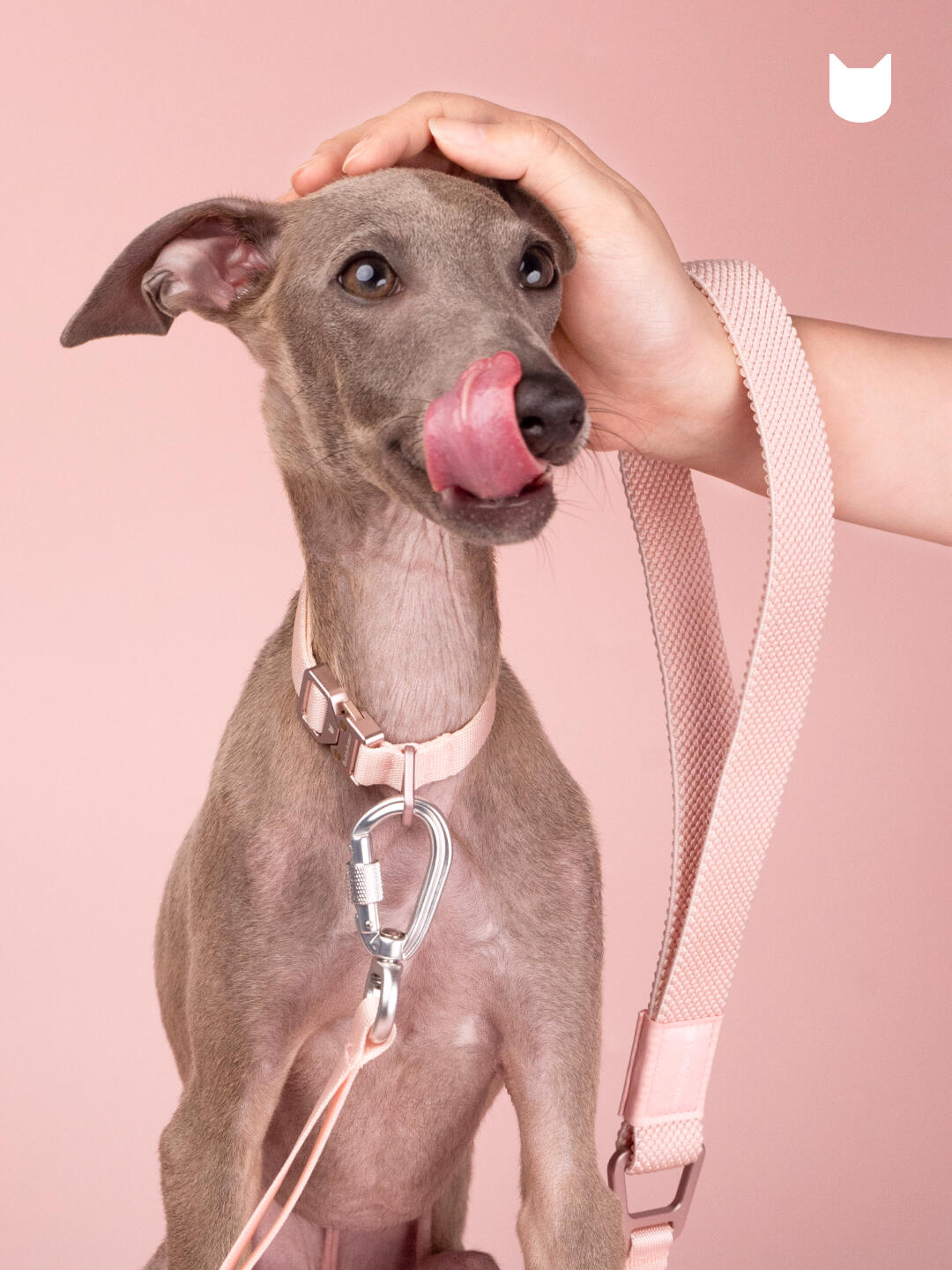 Light Alloy Dog Leash