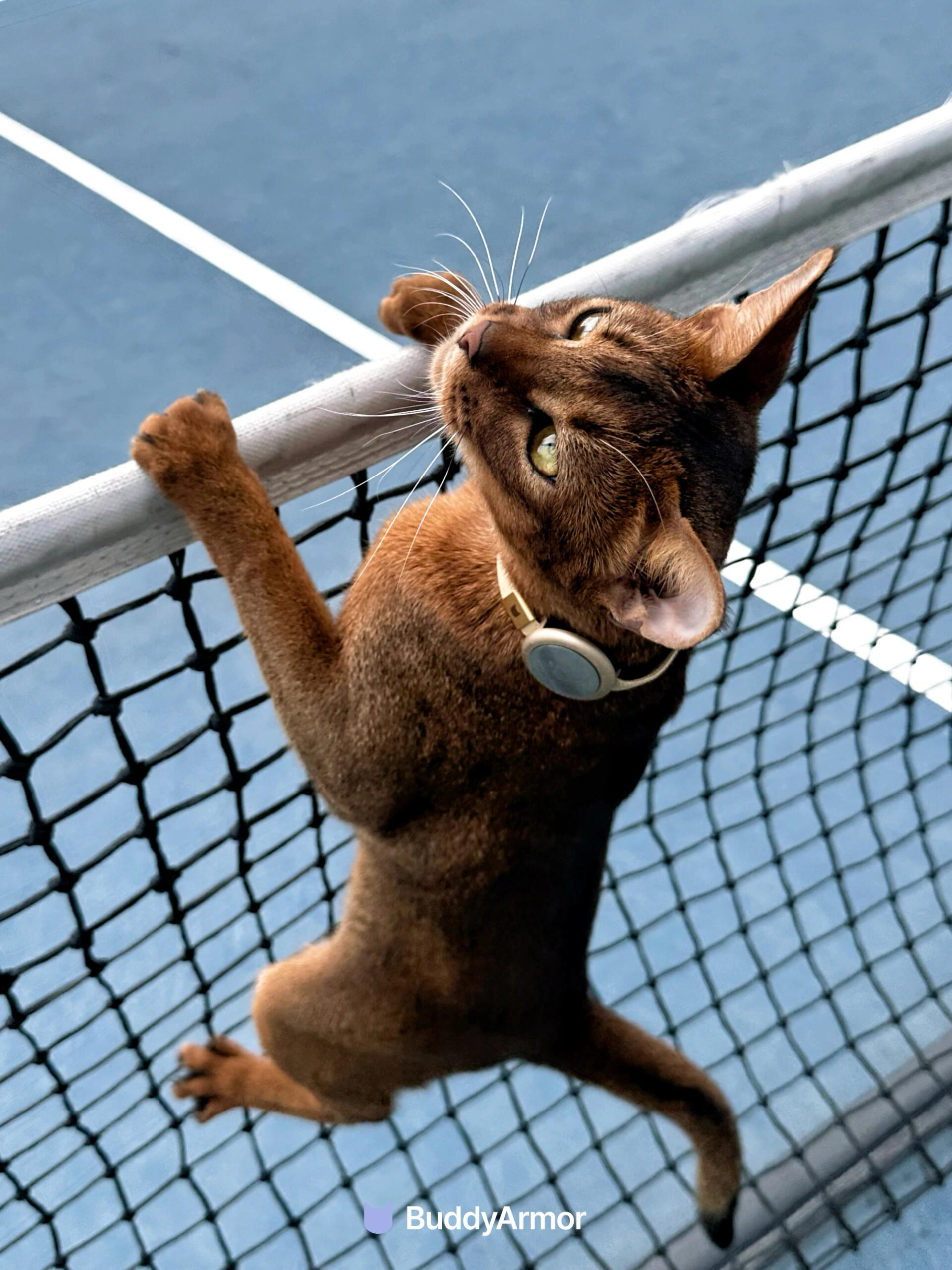 Aluminium Scratch Resistant  Pet Collar AirTag Holder - VOF