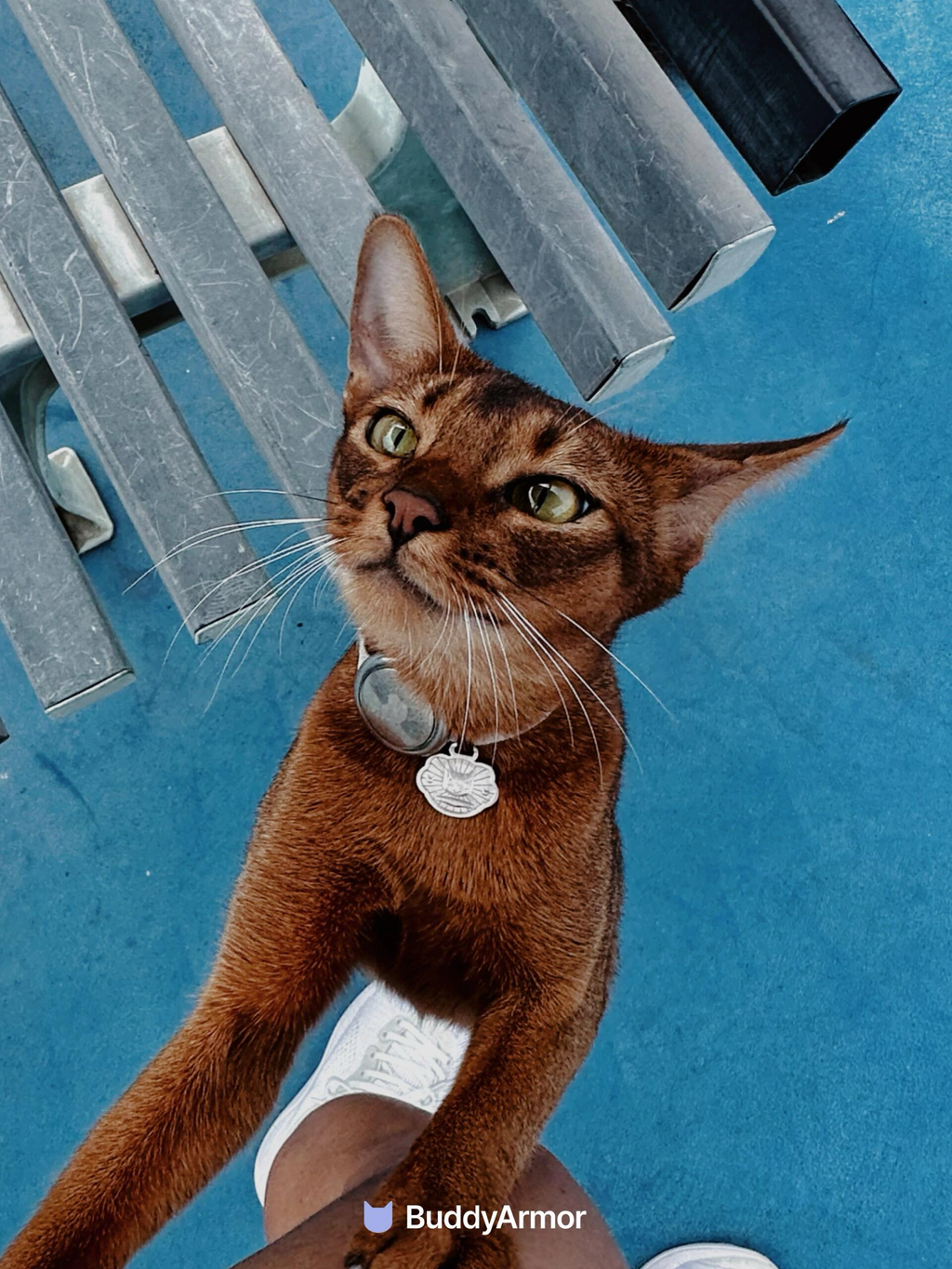 Aluminium Scratch Resistant  Pet Collar AirTag Holder - VOF