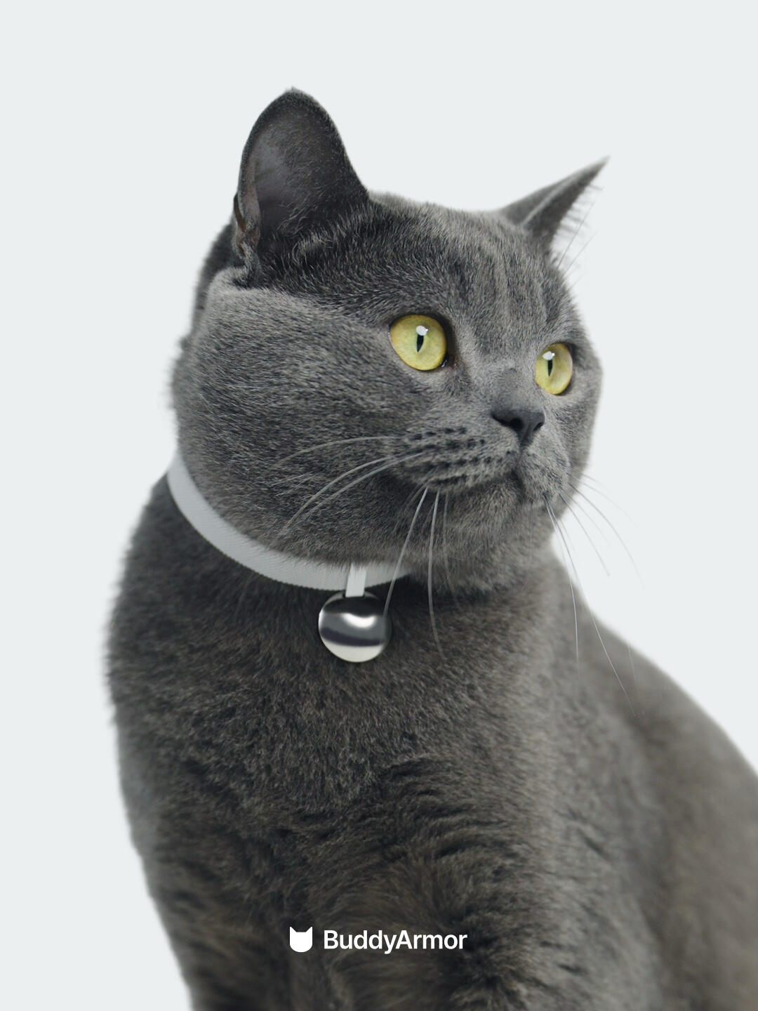 Anti-Choking Elastic Cat Collar - VOF