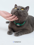 Anti-Choking Elastic Cat Collar - VOF