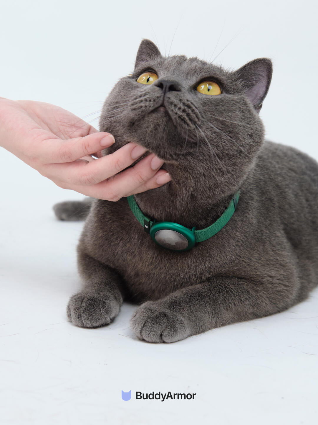 Anti-Choking Elastic Cat Collar - VOF
