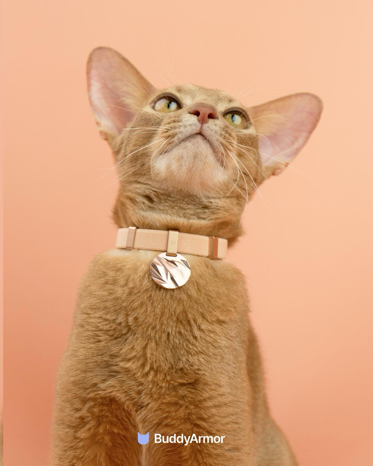 Anti-Choking Elastic Cat Collar - VOF