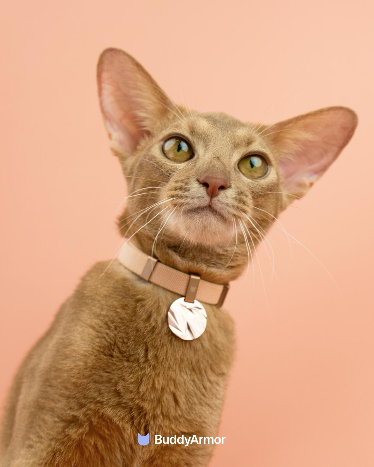 Anti-Choking Elastic Cat Collar - VOF